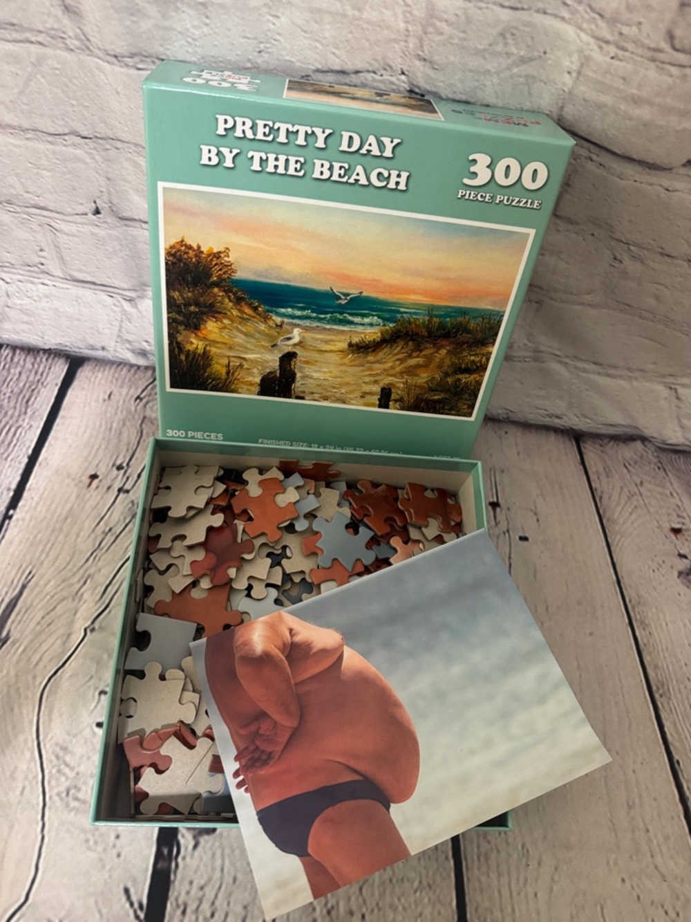 Meme 300 piece puzzle Pretty Day by the Beach